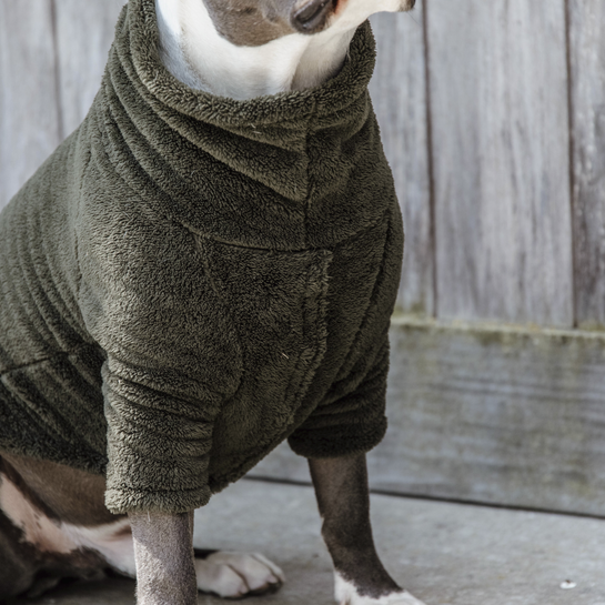 Fleece, Kentucky M (44-50cm) | Hunde Teddy Dunkelgrün Pullover
